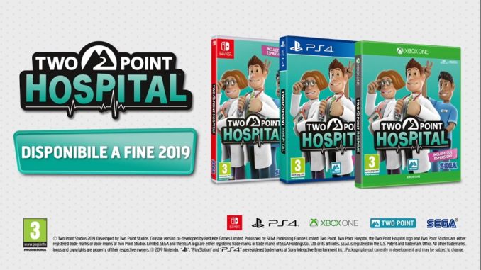 Two Point Hospital Console