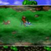 Donkey Kong Country