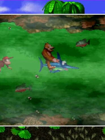 Donkey Kong Country