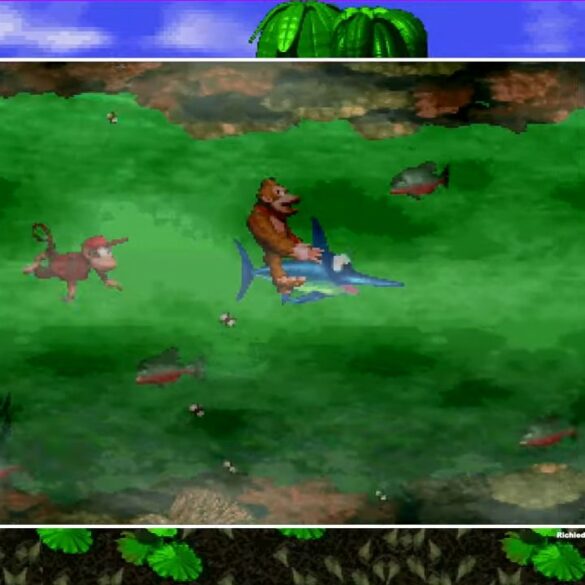 Donkey Kong Country