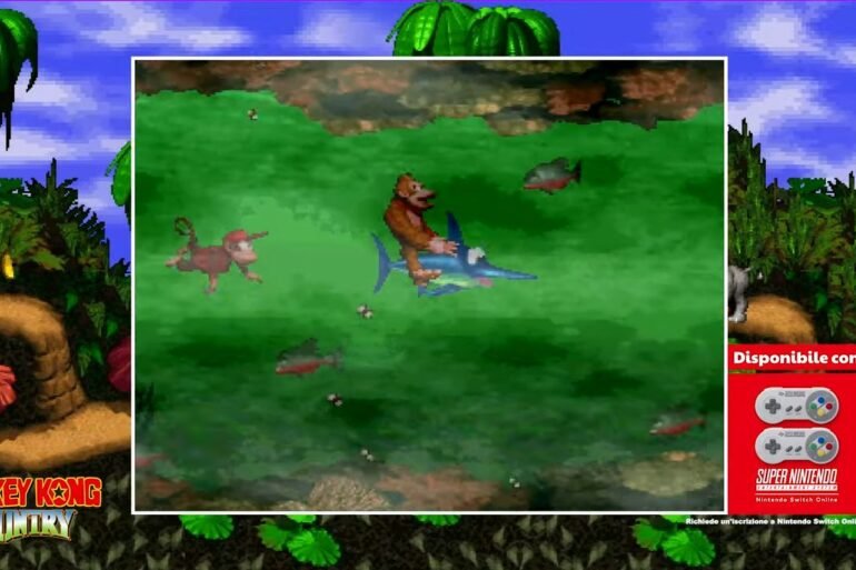 Donkey Kong Country