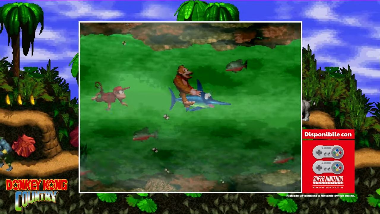 Donkey Kong Country
