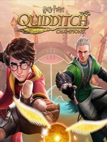 Harry Potter Campioni di Quidditch Nintendo Switch