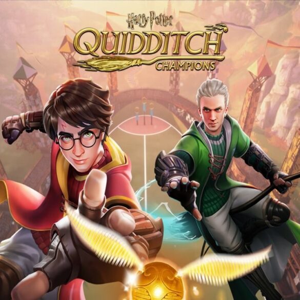 Harry Potter Campioni di Quidditch Nintendo Switch
