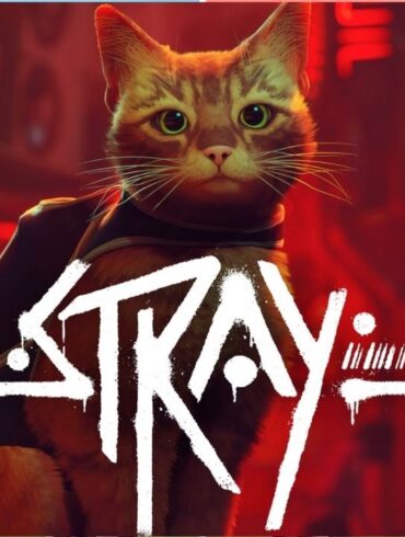 Stray