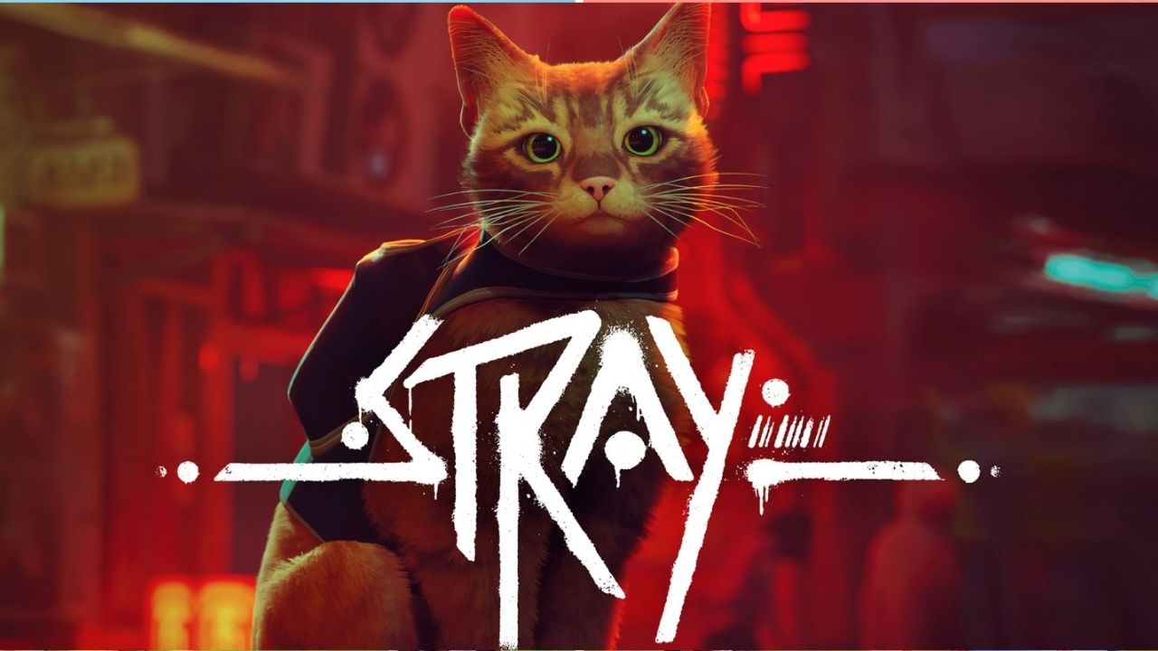 Stray