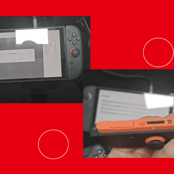 Nintendo Switch 2 trafugata