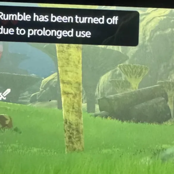 Nintendo Switch 2 il rumble è stato disattivato