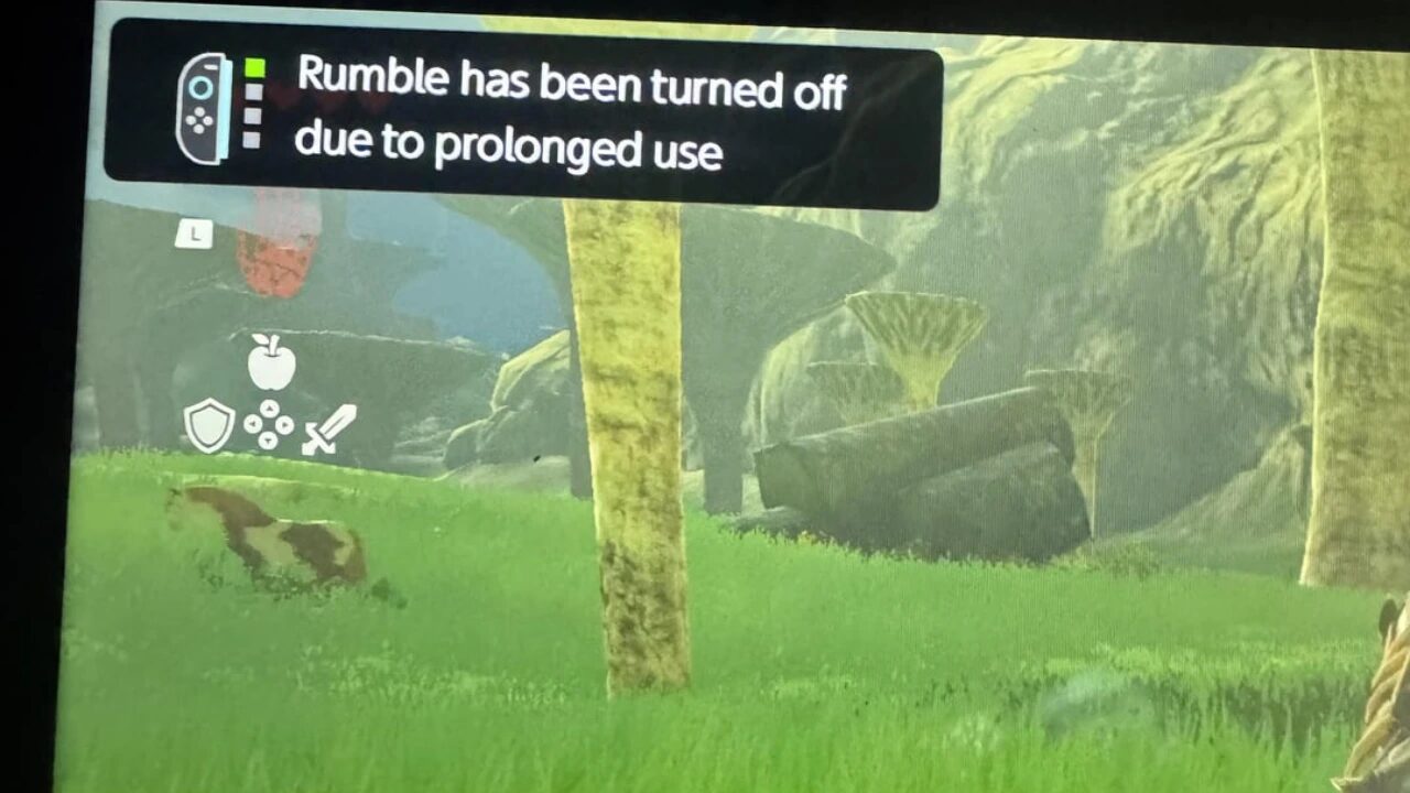 Nintendo Switch 2 il rumble è stato disattivato