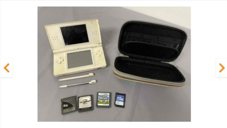 Una foto di un bundle per Nintendo DS che include una flash card R4, a simboleggiare l'asta governativa per il set di giochi e console.
