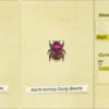 Animal Crossing New Horizon Come trovare gli Insetti Rari