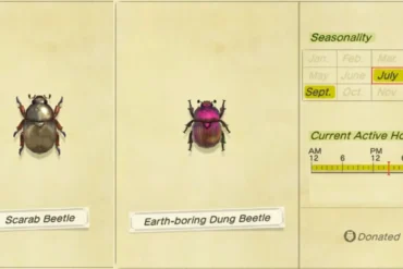 Animal Crossing New Horizon Come trovare gli Insetti Rari