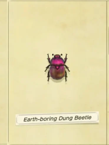 Animal Crossing New Horizon Come trovare gli Insetti Rari