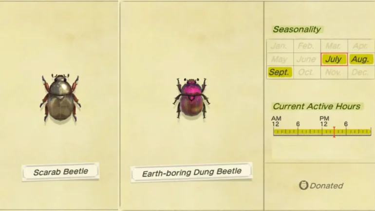 Animal Crossing New Horizon Come trovare gli Insetti Rari