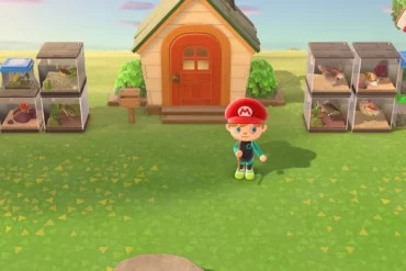 Come sviluppare isola Animal Crossing New Horizons guida completa edifici consigli primi passi