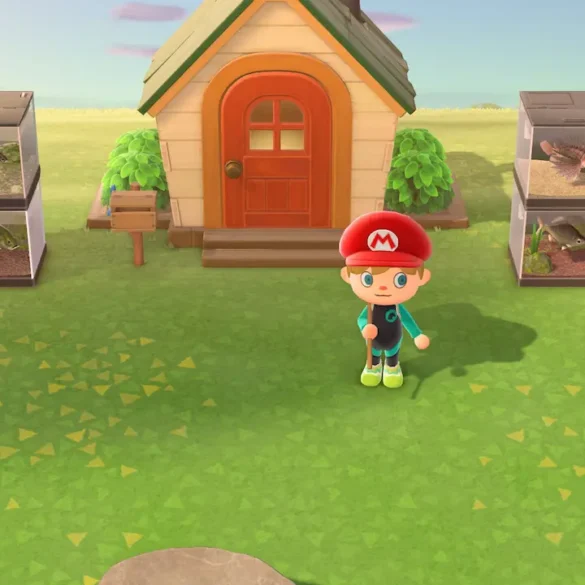 Come sviluppare isola Animal Crossing New Horizons guida completa edifici consigli primi passi