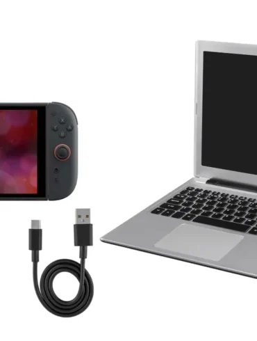 Collegamento USB-C tra Nintendo Switch 2 e PC per trasferimento screenshot e video.